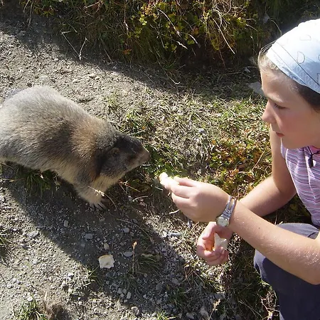 Appartement Haus Alpengluck *
