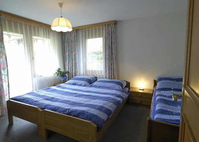 公寓 豪斯奥尔朋吕克公寓 *