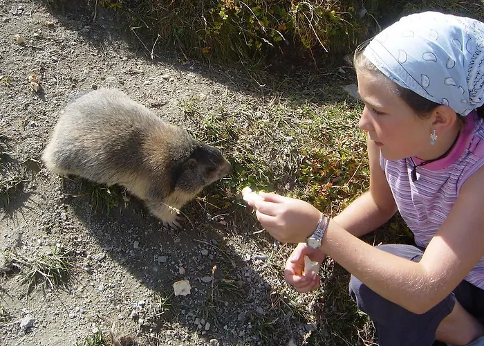 公寓 豪斯奥尔朋吕克公寓 *